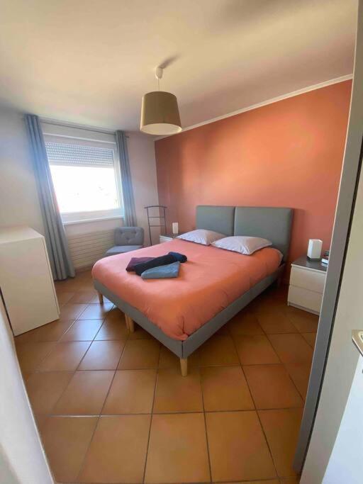 Logement Ideal Pour Un Sejour Alsacien En Amoureux Colmar Ngoại thất bức ảnh